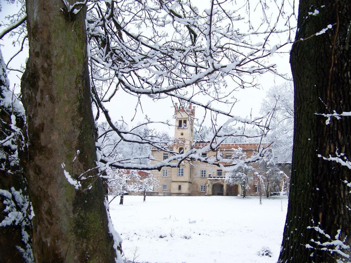 Palac Dabrowica Dabrowica  Exterior foto