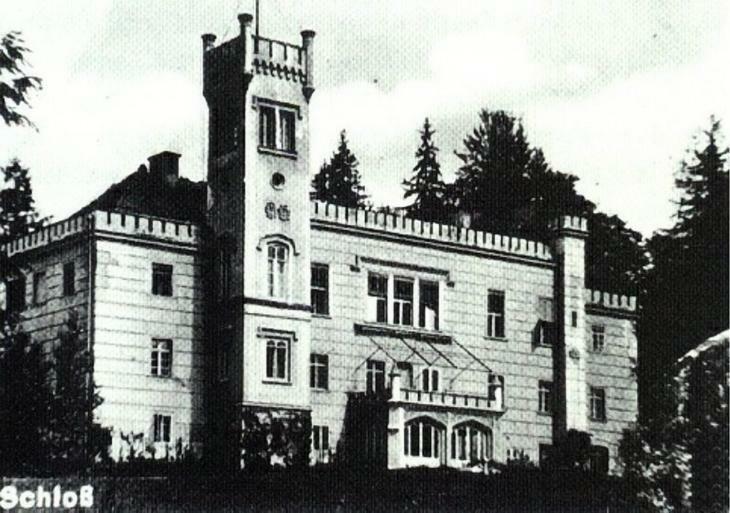 Palac Dabrowica Dabrowica  Exterior foto